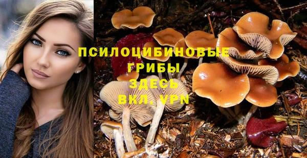 MESCALINE Балахна